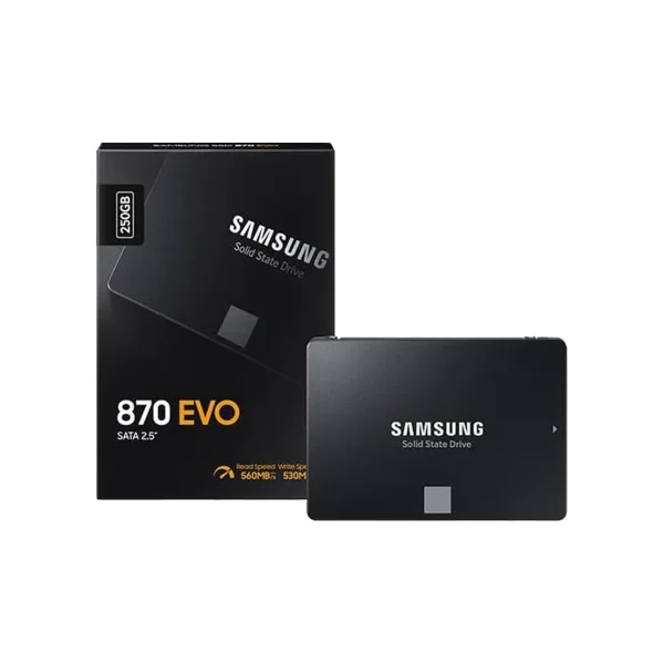 Disco Samsung 870 Evo 250Gb